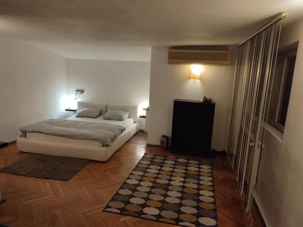 Апартаменты Dorobanti Loft Бухарест Экстерьер фото